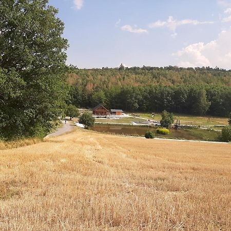 Residenz Moselstausee Sankt Aldegund Exteriör bild
