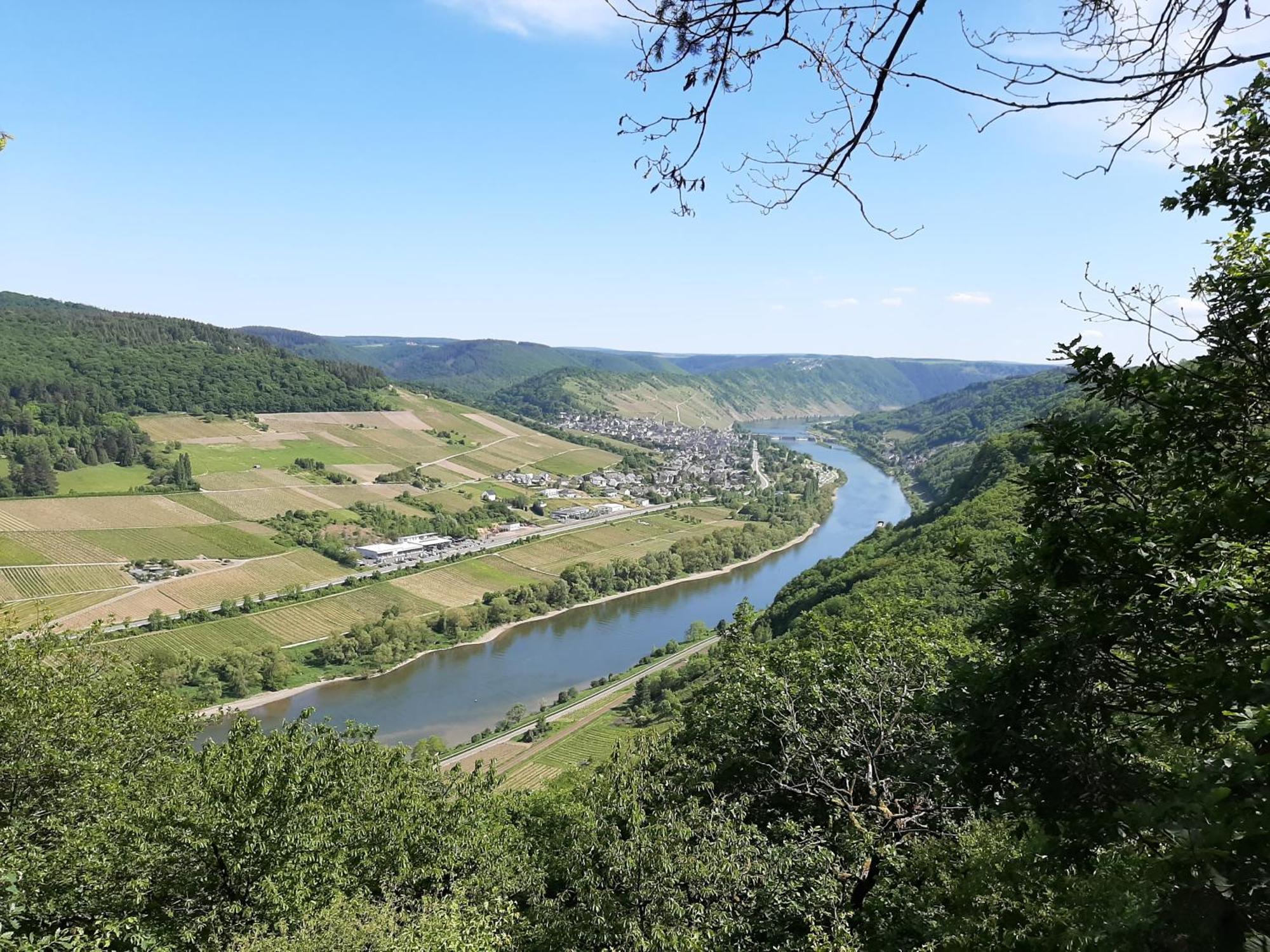 Residenz Moselstausee Sankt Aldegund Exteriör bild