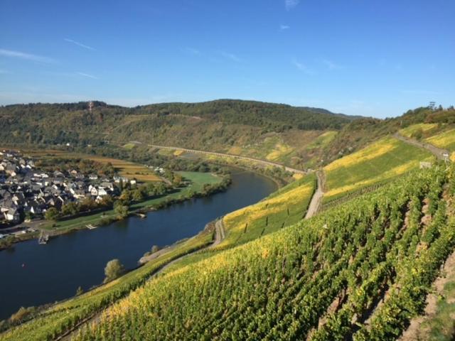 Residenz Moselstausee Sankt Aldegund Exteriör bild
