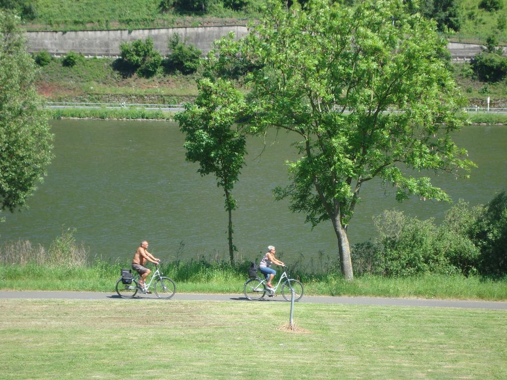 Residenz Moselstausee Sankt Aldegund Exteriör bild